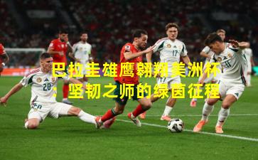 巴拉圭雄鹰翱翔美洲杯:坚韧之师的绿茵征程