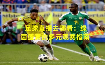 足球直播去哪看：绿茵盛宴的多元观赛指南