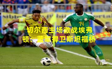 切尔西主场激战埃弗顿：蓝军捍卫斯坦福桥