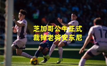 芝加哥公牛正式裁掉老将安东尼