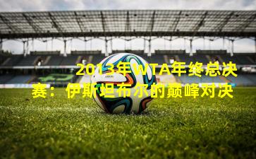 2013年WTA年终总决赛：伊斯坦布尔的巅峰对决