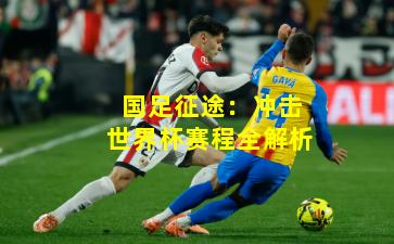 国足征途：冲击世界杯赛程全解析