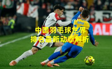 中国羽毛球世界排名最新动态解析